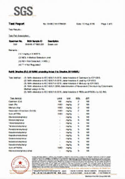 Authoritative certification
